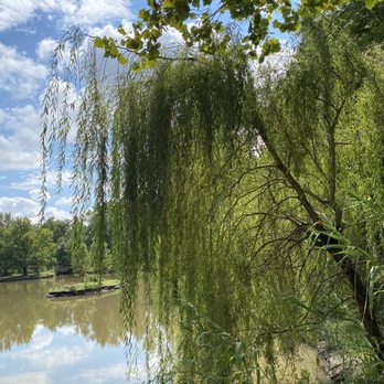 Bartlett Arboretum - "I saw a weeping willow crying in its pillow" per Patsy. - Venues & Event Spaces Near Me - Belle Plaine, Kansas Bartlett Arboretum - "I saw a weeping willow crying in its pillow" per Patsy. - Venues & Event Spaces Near Me - Belle Plaine, Kansas