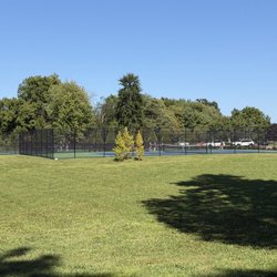 Clepper Park