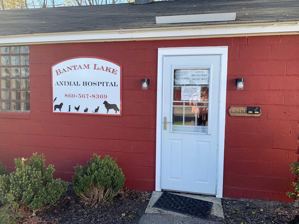 BANTAM LAKE ANIMAL HOSPITAL Updated August 2024 180 Bantam Lake Rd