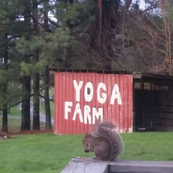 Yoga Farm - Our nature mascots - Yoga Near Me - Elizabethton, Tennessee Yoga Farm - Our nature mascots - Yoga Near Me - Elizabethton, Tennessee