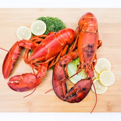 Philly Lobster Gourmet Foods - Steamed Whole Lobsters