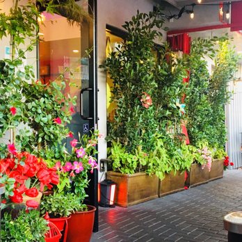 Red Maple - Pretty patio - Cafes Near Me - Los Angeles, California Red Maple - Pretty patio - Cafes Near Me - Los Angeles, California