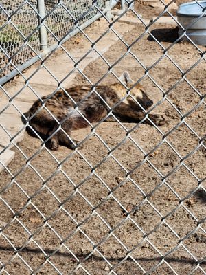 Aloha Safari Park by null