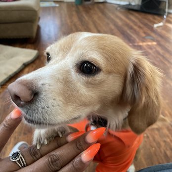 Kutie Nails & Spa - A cute boy and my hand - Nail Salons Near Me - Aubrey, Texas Kutie Nails & Spa - A cute boy and my hand - Nail Salons Near Me - Aubrey, Texas
