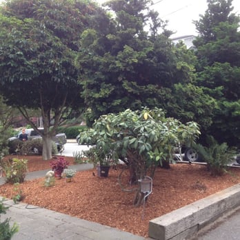 Urban Jungle - Great work! - Landscaping Near Me Urban Jungle - Great work! - Landscaping Near Me