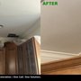 Restoreone Restoration