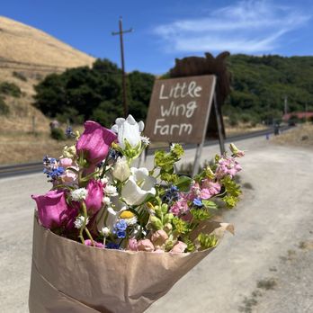 Little Wing Farm - The bouquet I bought :) - Farms Near Me - Point Reyes Station, California Little Wing Farm - The bouquet I bought :) - Farms Near Me - Point Reyes Station, California