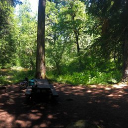 Campsite #6