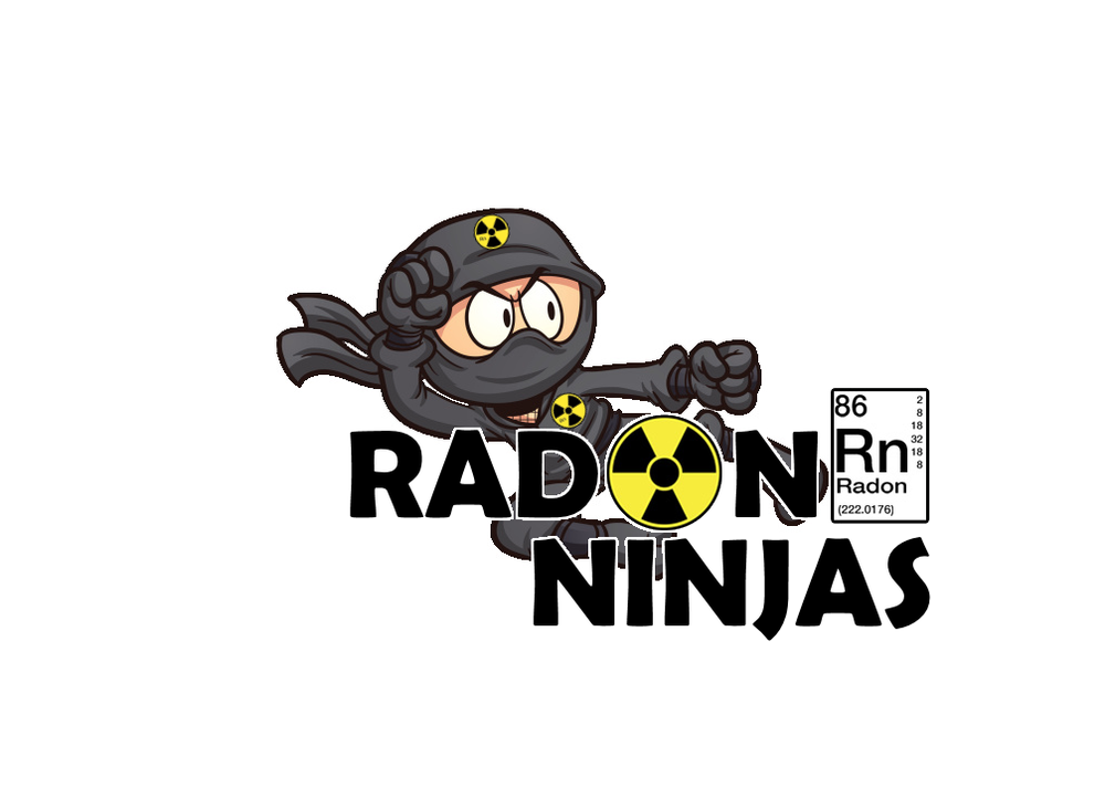 Radon Ninjas - mold inspector in Troy, MO
