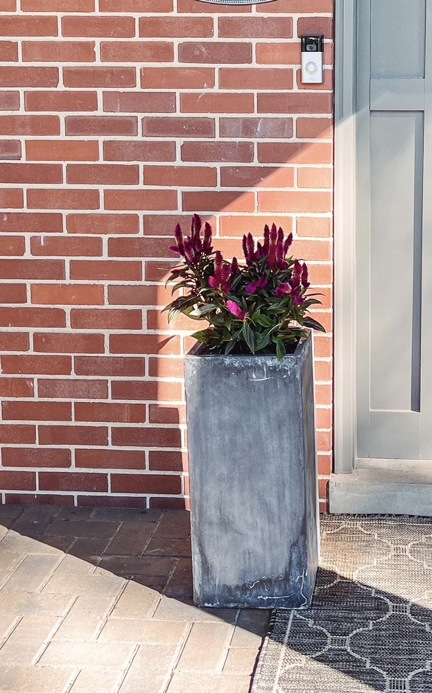 HARTKE NURSERY Updated September 2024 94 Photos & 10 Reviews 1030