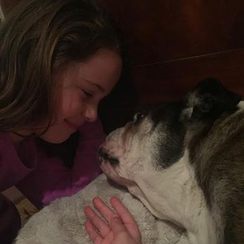 Peaceful Pathways For Pets - Veterinarians Near Me Peaceful Pathways For Pets - Veterinarians Near Me