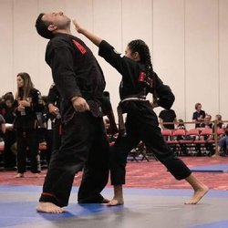 Kicks Martial Arts - STRENGTH, WISDOM, KINDNESS