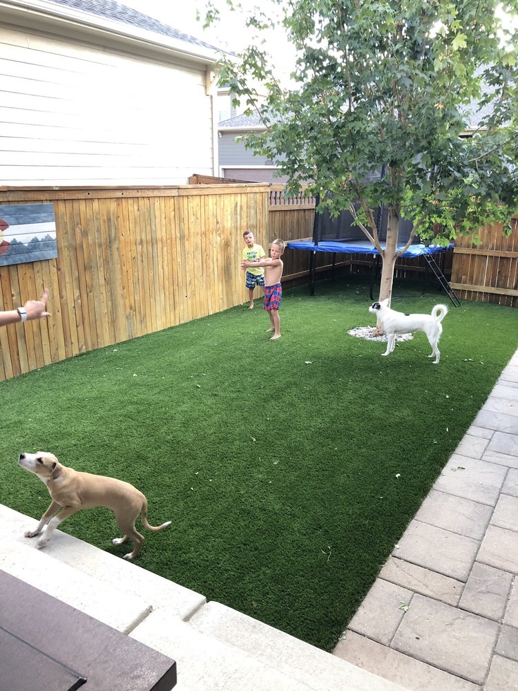 TURF BY DESIGN SYNTHETIC GRASS 53 Photos 11563 Fillmore Ct, Denver