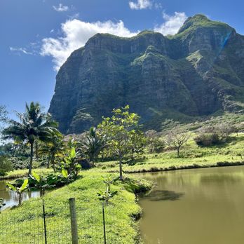 Kualoa Ranch - Tours Near Me - Kaneohe, Hawaii