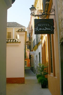 Hotel Amadeus by null