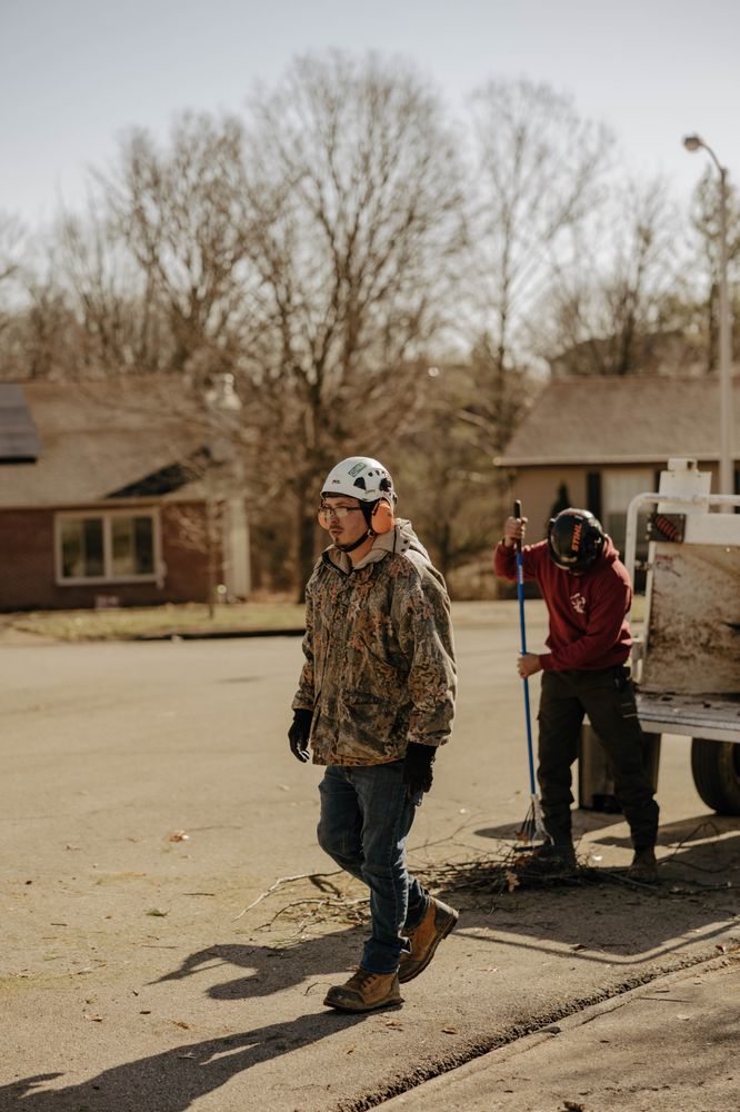 Estate Tree Service - tree service in Frankfort, KY