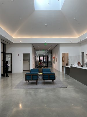 Carolyn Campagna Kleefeld Contemporary Art Museum by null