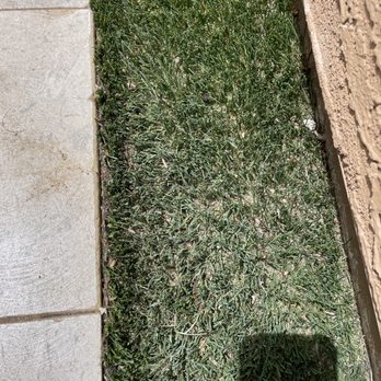Enviro Lawn - Excessive back fill and edges are rolling up in less than 6 months. - Artificial Turf Near Me - Chandler, Arizona Enviro Lawn - Excessive back fill and edges are rolling up in less than 6 months. - Artificial Turf Near Me - Chandler, Arizona