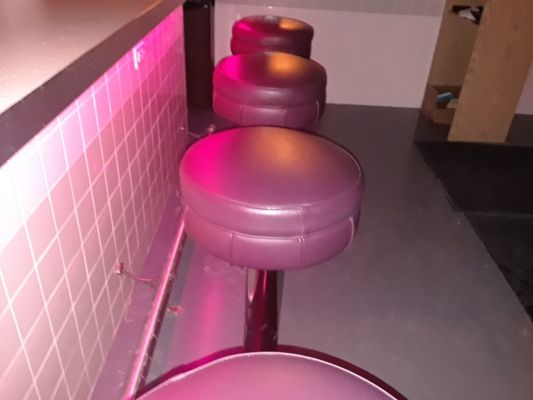 The Pink Squirrel by null