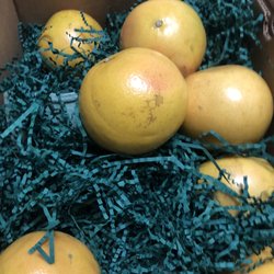 Florida Indian River Groves - The grapefruits arrived nicely packaged with no bruises!