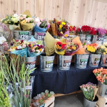 Trader Joe's - Beautiful - Grocery Near Me - Poway, California