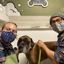 Self service dog wash that fits a mastiff!