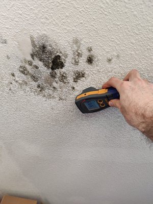 Mold Damage Restoration - Have you been noticing nasty visual signs and a musty odor throughout your home? Is your home being plagued by mold? Then you must be looking for a way to eradicate it. Risk Free Serv is San Diego’s leading active mold removal, remediation and damage restoration company. We are here to rush to your aid and deliver maximized, lasting results in the shortest amount of time. We have a whole array of professional grade cutting-edge diagnostic tools and state-of-the-art equipment and best-in-class professionals in our ranks. Mold Damage Restoration - Have you been noticing nasty visual signs and a musty odor throughout your home? Is your home being plagued by mold? Then you must be looking for a way to eradicate it. Risk Free Serv is San Diego’s leading active mold removal, remediation and damage restoration company. We are here to rush to your aid and deliver maximized, lasting results in the shortest amount of time. We have a whole array of professional grade cutting-edge diagnostic tools and state-of-the-art equipment and best-in-class professionals in our ranks.