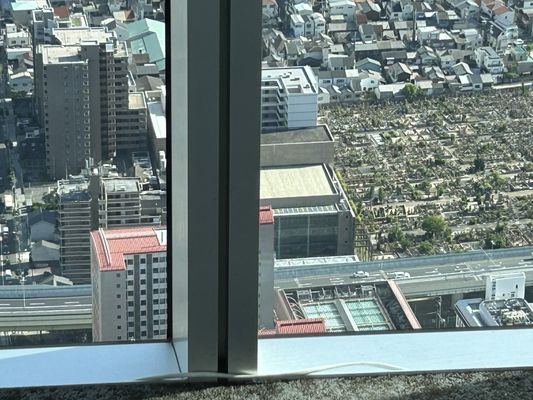 Harukas 300 (Observation Deck) by null