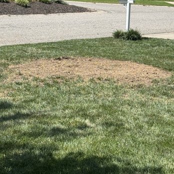 Affordable Tree Care - Before and after of large locust tree removal and stump grind. - Tree Services Near Me - Kansas City, Missouri Affordable Tree Care - Before and after of large locust tree removal and stump grind. - Tree Services Near Me - Kansas City, Missouri