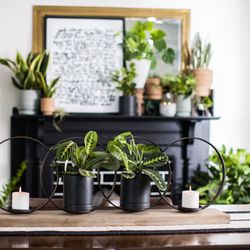 Greendigs Design Studio