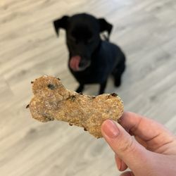 Leaves Book and Tea Shop - Dog Biscuit