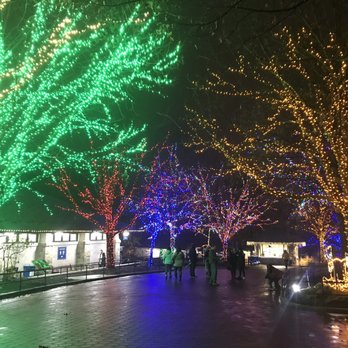 ZooLights - Zoos Near Me - Washington, DC, District of Columbia
