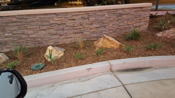 In-N-Out Burger by null