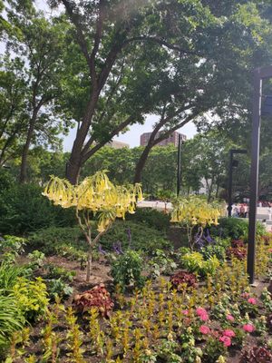 Alberta Legislature Building by null