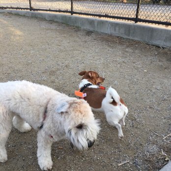 Little Bay Dog Run - Dog Parks Near Me - Bayside, New York