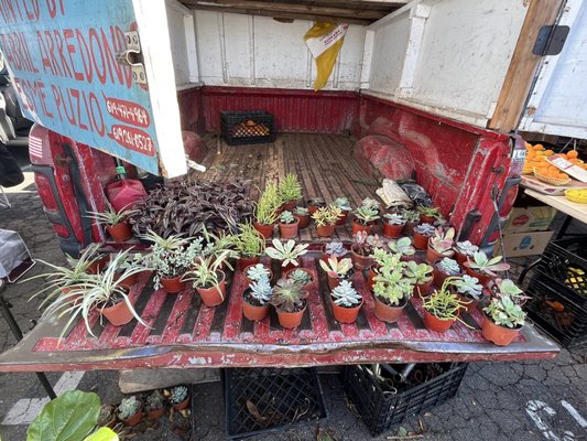 Kobey's Swap Meet by null