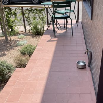 First Light Books - Water bowl for four legged customers - Bookstores Near Me - Austin, Texas