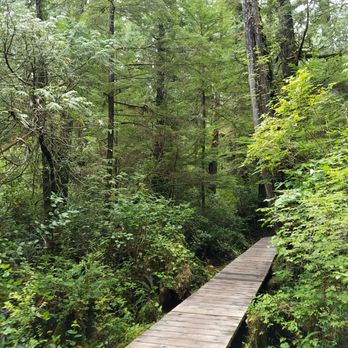 Hot Springs Cove - once you arrive there's a 30 min walk through this gorgeous forest. there's a boardwalk the whole way - Lakes Near Me - Tofino, British Columbia Hot Springs Cove - once you arrive there's a 30 min walk through this gorgeous forest. there's a boardwalk the whole way - Lakes Near Me - Tofino, British Columbia