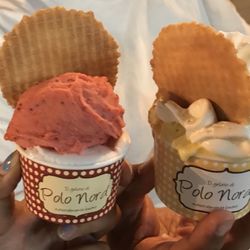 Polo Nord - Limone & Fragole Sorbetti. Crema & Amarena Gelati.