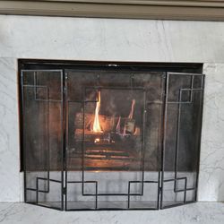 JD's Chimney Solutions - First fire using wood after JD's converted it from a gas fireplace.