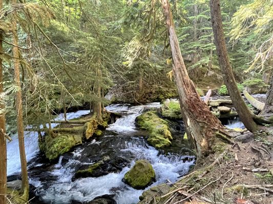 Panther Creek Falls by null
