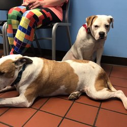 Mount Carmel Veterinary Hospital