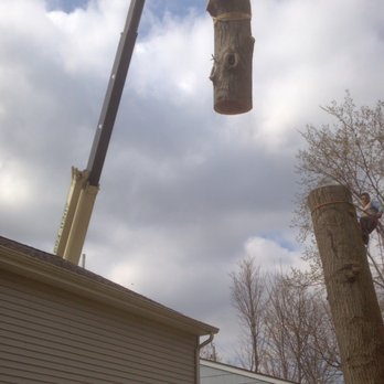 American Tree Service - Tree Services Near Me American Tree Service - Tree Services Near Me