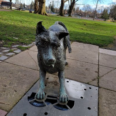 Beverly Cleary Sculpture Garden by null