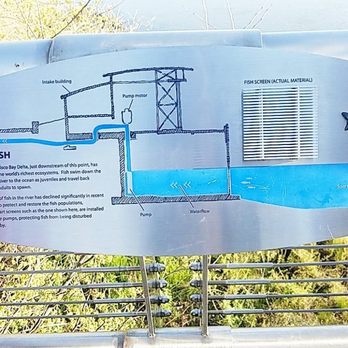 Sacramento Water Tower - Explaining what it's all about and how the fish are impacted. - Local Flavor Near Me - Sacramento, California Sacramento Water Tower - Explaining what it's all about and how the fish are impacted. - Local Flavor Near Me - Sacramento, California