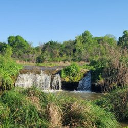 Marion Sansom Park