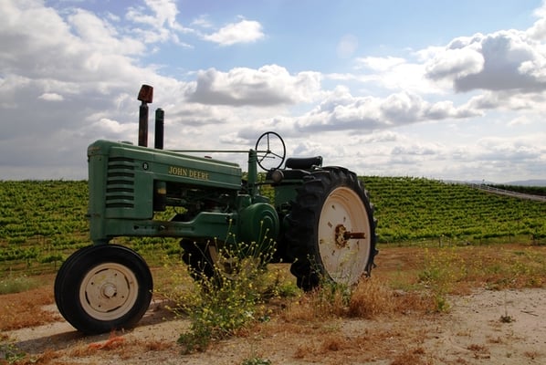 Palumbo Family Vineyard by null