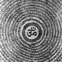 Balance-holistic by Shabnam J. kamal