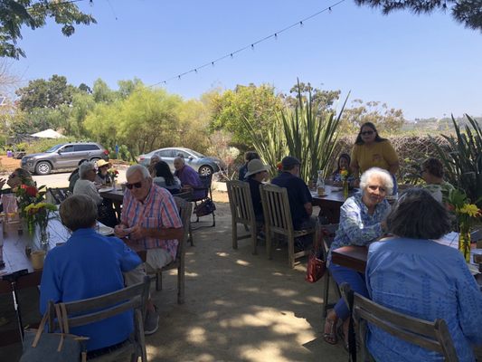 Olivewood Gardens and Learning Center by null