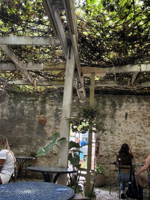 Blue Dahlia Bistro by null